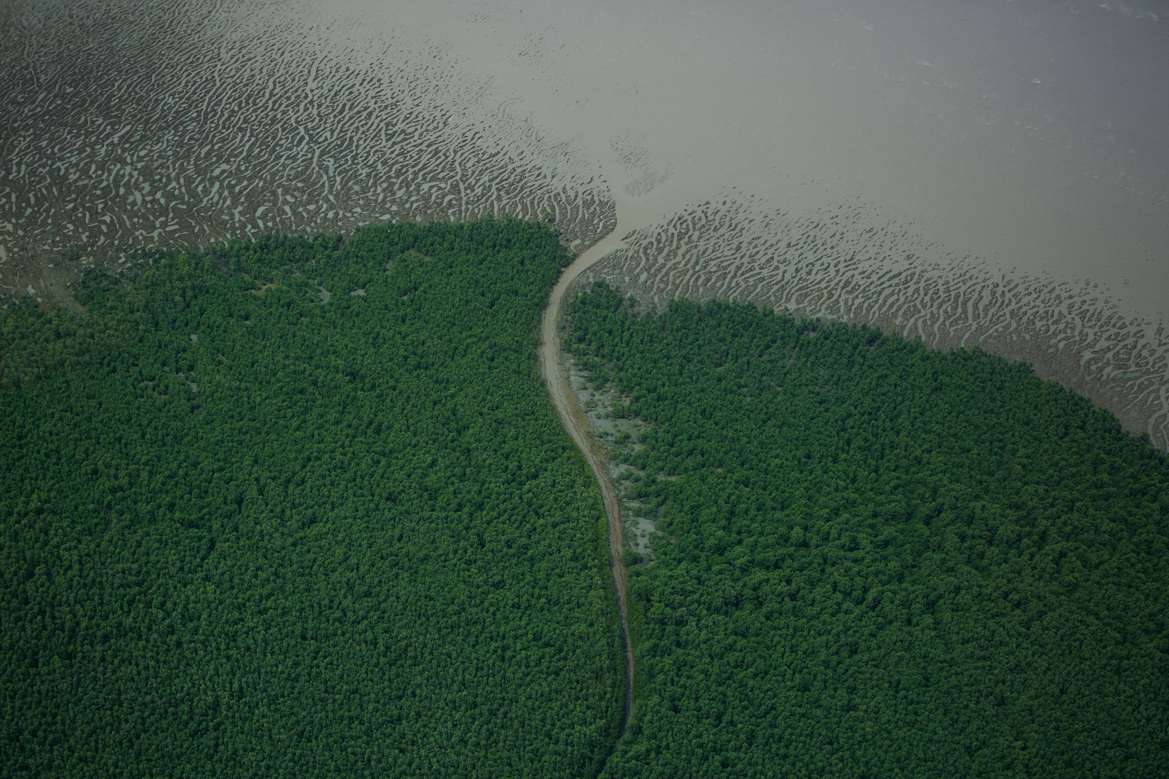 O petróleo e a emergência climática no Brasil - 23/02/2025 - Opinião