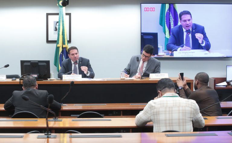 Audiência Pública - Implicações das decisões do STF no âmbito da ADPF nº 635. Dep. Delegado Ramagem (PL - RJ)