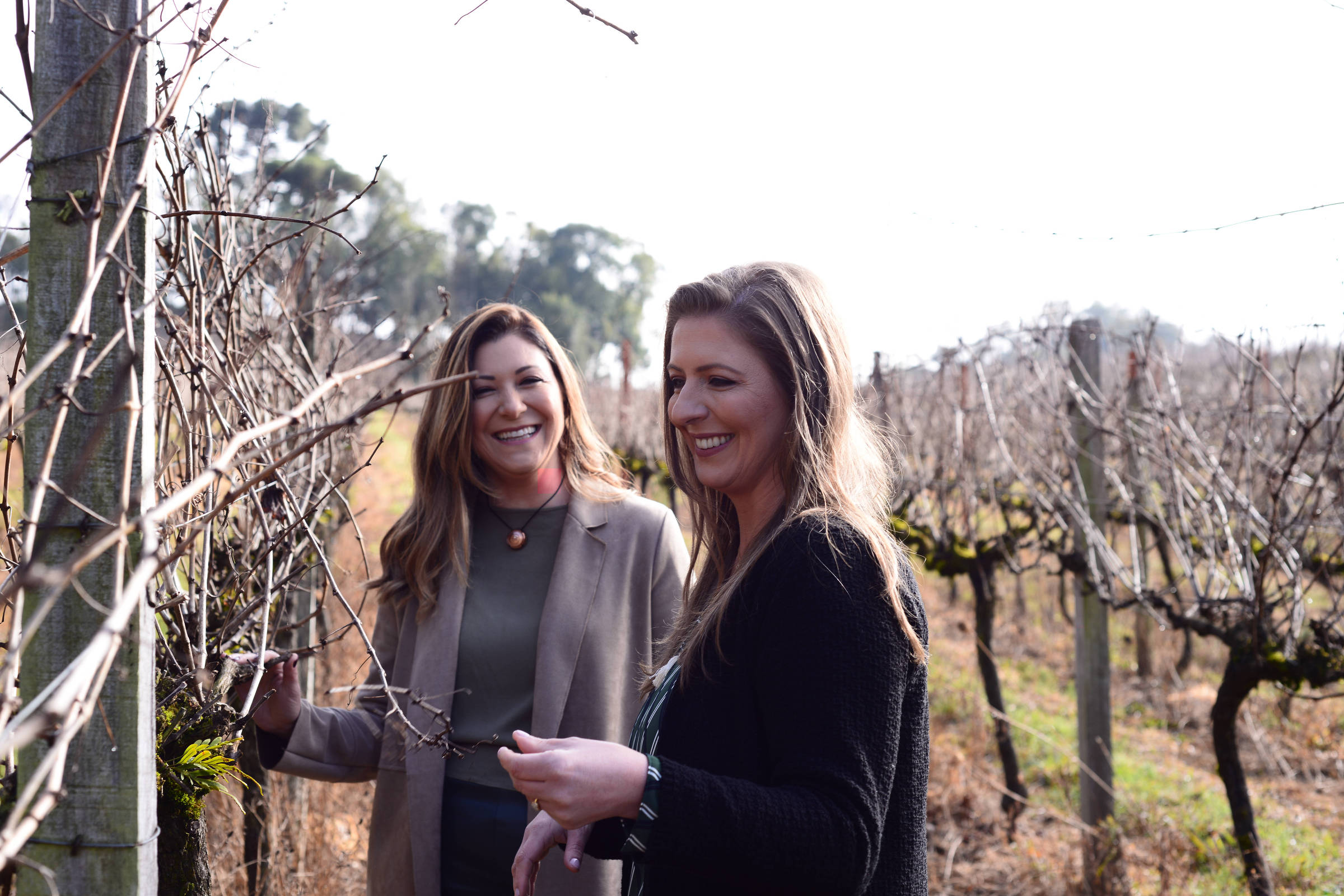 Duas mulheres sorrindo em um vinhedo. Elas estão próximas a uma fileira de videiras secas, com um fundo de árvores e um céu claro. A mulher à esquerda usa um blazer e uma blusa verde, enquanto a mulher à direita veste um suéter preto. Ambas parecem estar se divertindo e interagindo com as videiras.