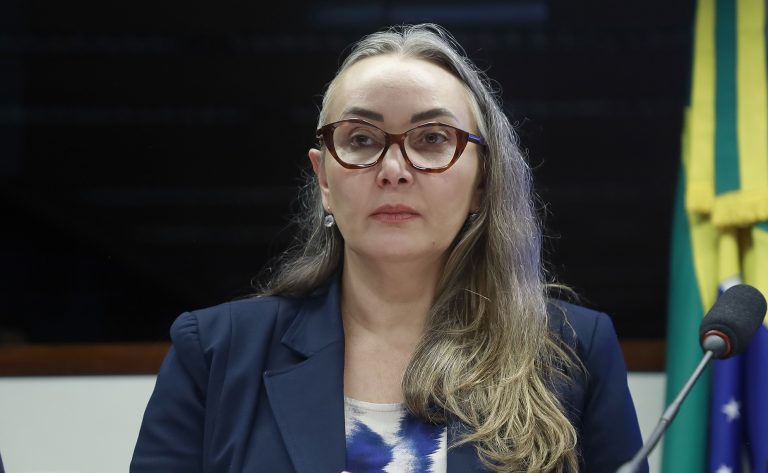 Audiência Pública - Duplicação BR-470 entre Navegantes, Ilhota, Gaspar, Blumenau e Indaial (SC). Dep. Daniela Reinehr (PL - SC)