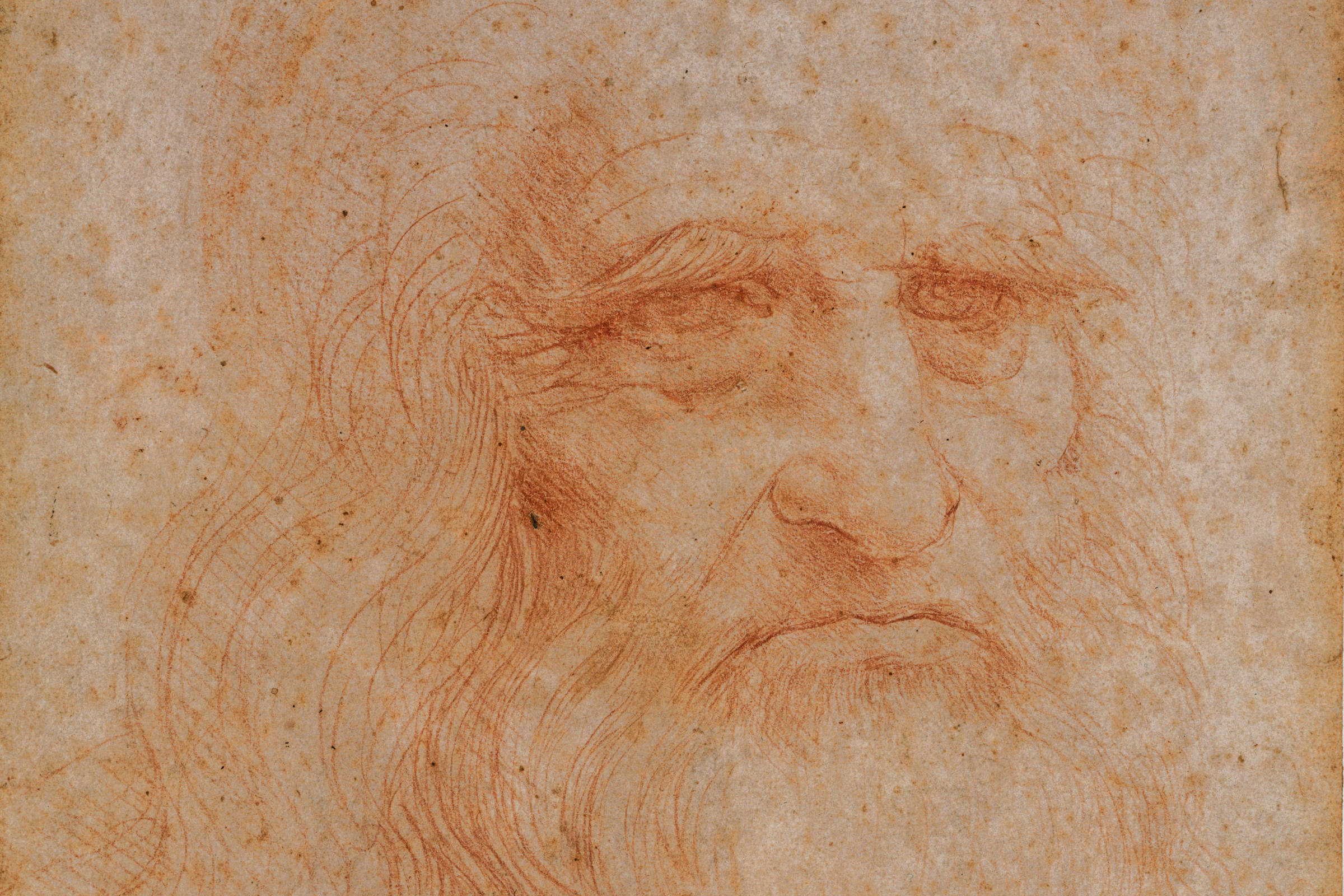 Família da Vinci: Estudo de DNA identifica 6 descendentes - 27/05/2025 - Ciência
