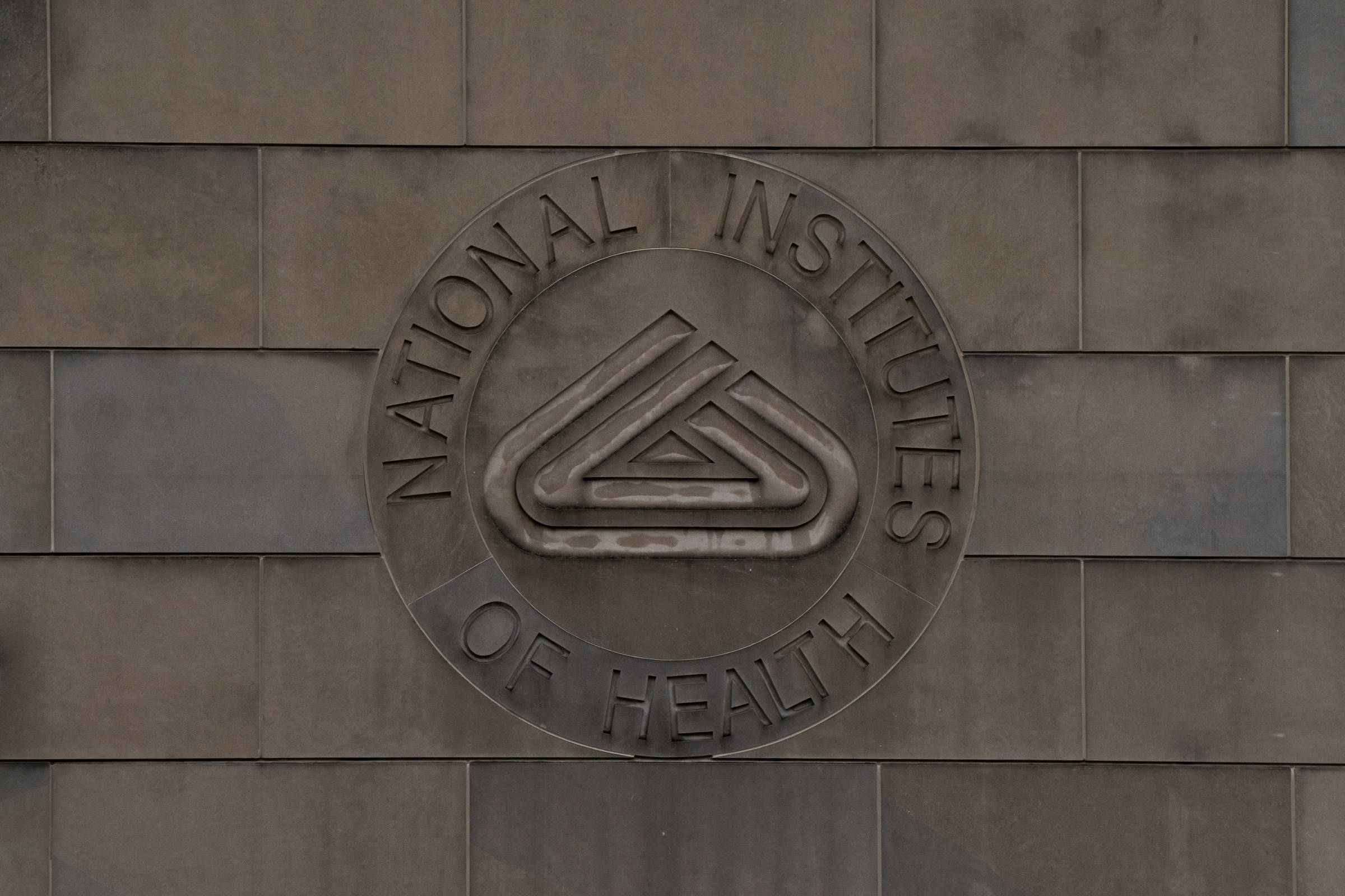 A imagem mostra um logotipo em relevo dos Institutos Nacionais de Saúde, com a inscrição