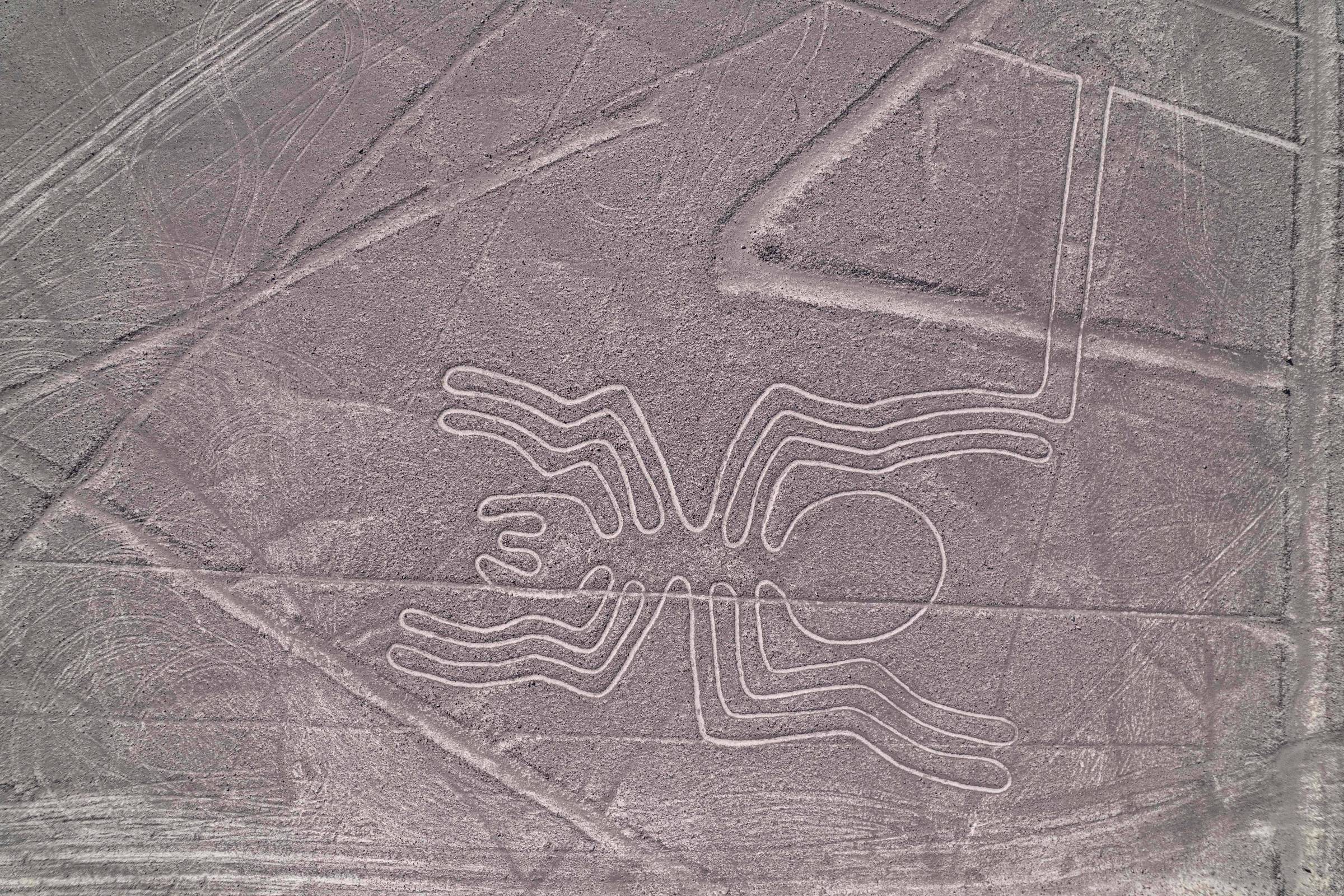 A imagem mostra um grande desenho de uma aranha, conhecido como uma das Linhas de Nazca, localizado no deserto do Peru. O desenho é composto por linhas brancas que formam a figura da aranha, com várias pernas e um corpo central. O fundo é de um tom marrom claro, característico do solo árido da região, e há também outras linhas e formas ao redor, que fazem parte do mesmo complexo de geoglifos.