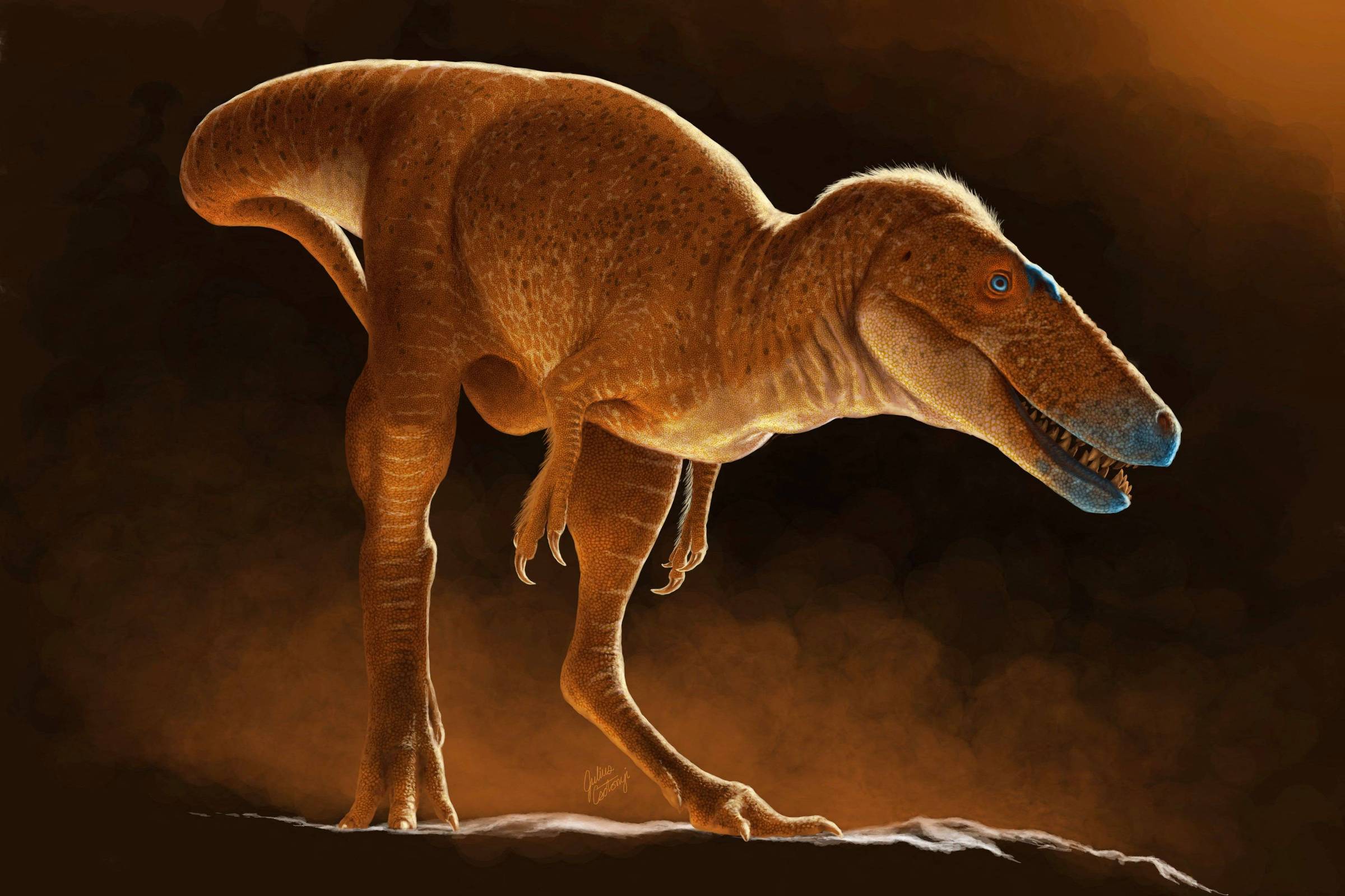 A imagem mostra uma ilustração de um dinossauro com corpo robusto e pernas longas. O dinossauro tem uma pele de cor laranja e um focinho alongado com uma coloração azul na parte da boca. O fundo é escuro, com um efeito de iluminação que destaca a figura do dinossauro.