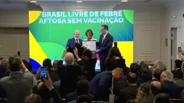 Mato Grosso registra foco de gripe aviária em aves de subsistência