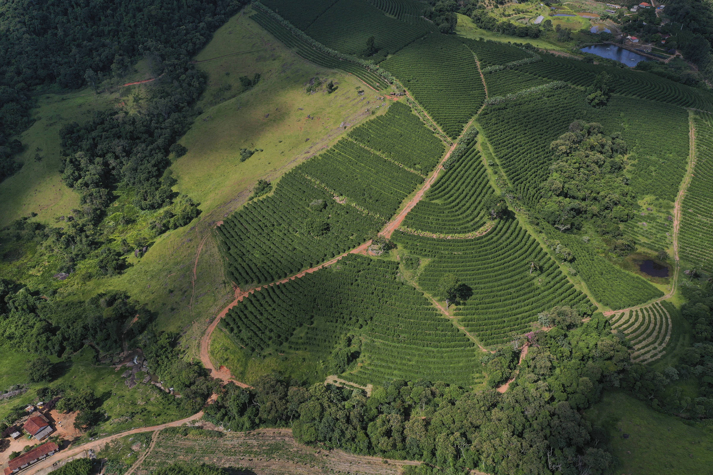 A imagem mostra uma vista aérea de uma plantação em uma área montanhosa. A paisagem é composta por colinas verdes, com fileiras de plantas organizadas em padrões geométricos. Há também áreas de vegetação densa ao redor da plantação e algumas construções visíveis na parte inferior da imagem.