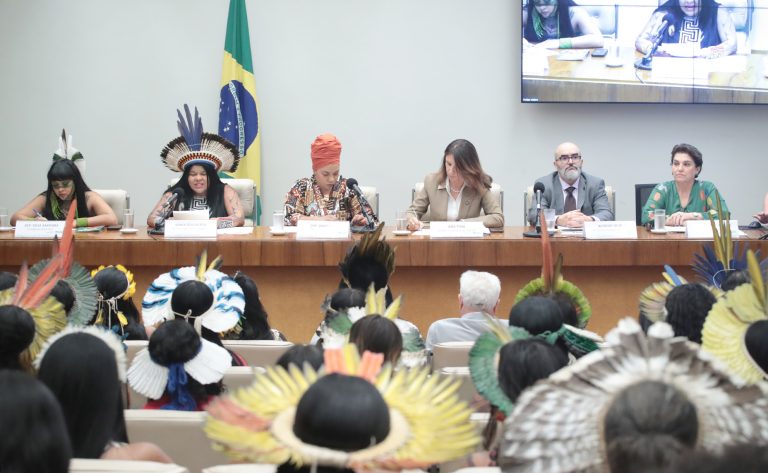 Seminário - COP 30 - Um compromisso com as vidas que sustentam os biomas