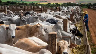Crise no agronegócio