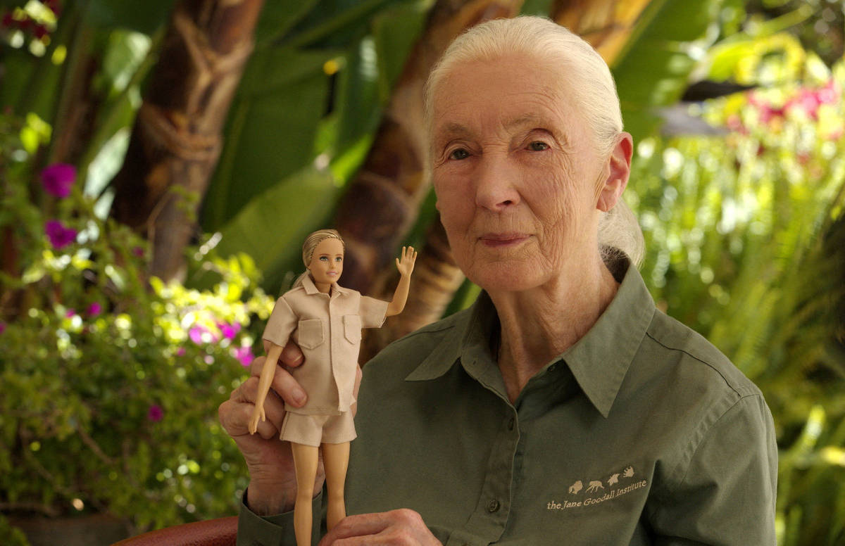 Santa, Barbie e Lego: Jane Goodall invadiu cultura pop - 01/10/2025 - Ciência
