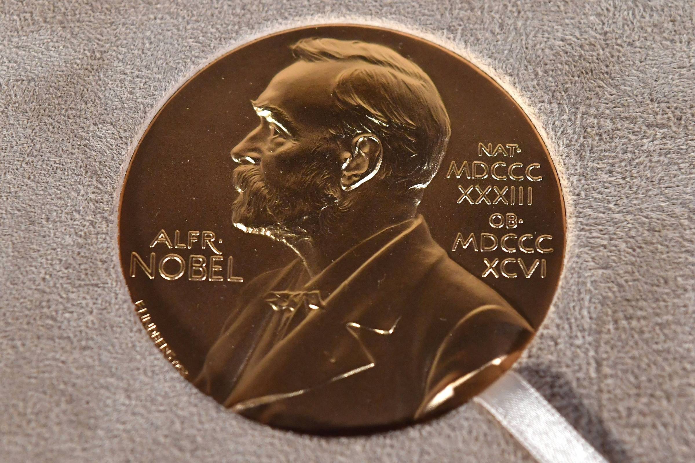 Nobel anuncia ganhadores a partir da próxima segunda (6) - 03/10/2025 - Ciência