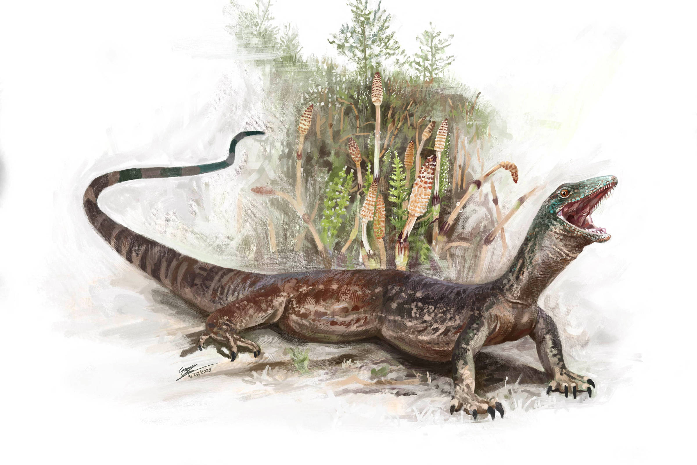 Ilustração mostra um réptil pré-histórico de corpo alongado, pele marrom com manchas escuras, boca aberta exibindo dentes afiados e língua vermelha. Atrás dele, vegetação densa com plantas semelhantes a cavalinhas e samambaias.
