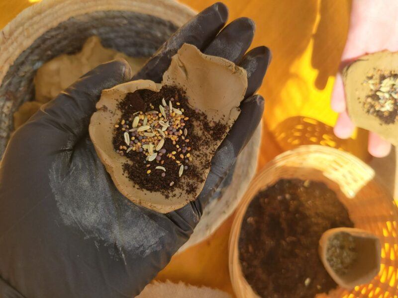 O acampamento das abelhas