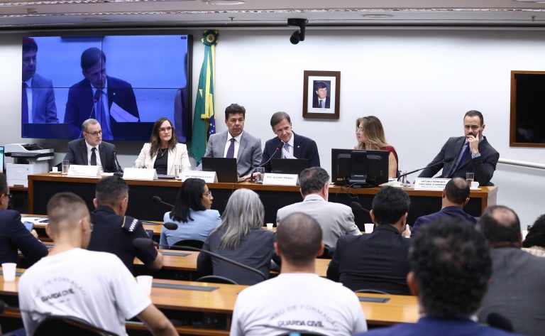 Audiência Pública - Dados e políticas de segurança pública.