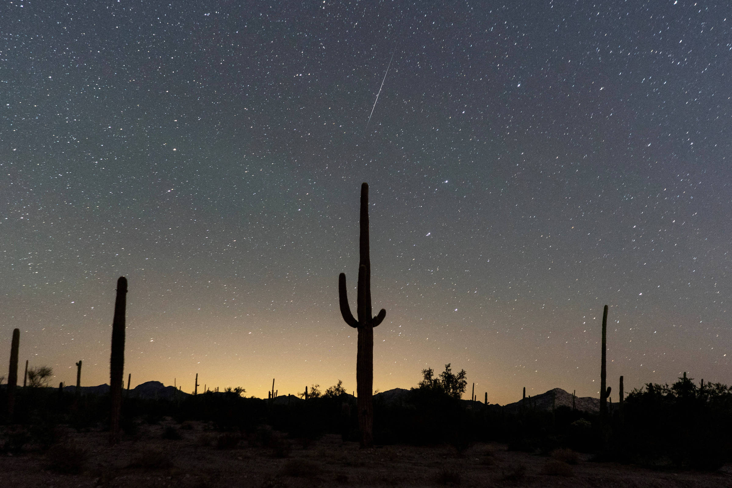 Cactos altos em silhueta no deserto sob céu noturno estrelado com uma estrela cadente visível. Horizonte com leve brilho solar.