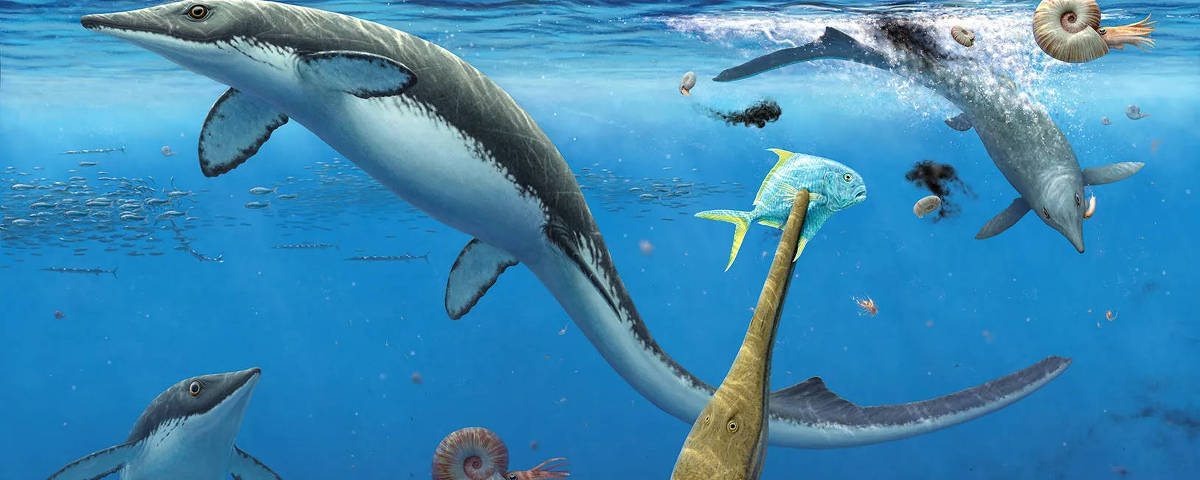 Ilustração mostra vários répteis marinhos do Jurássico nadando em águas azuis, incluindo um ictiossauro, um plesiossauro e um pliossauro, além de amonites flutuando. Um grande pliossauro está em destaque no centro, capturando uma presa. Peixes pequenos nadam ao fundo.