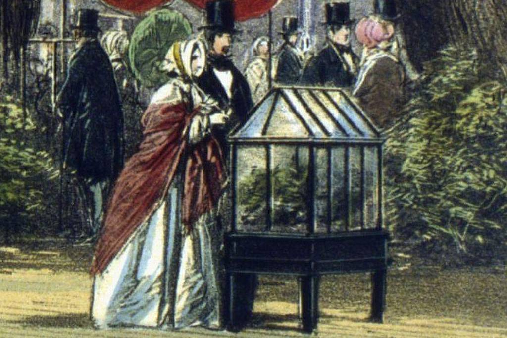 Mulher vestindo vestido branco e capa vermelha observa estufa portátil de vidro com plantas dentro, em parque. Homens e mulheres ao fundo usam roupas formais do século XIX, incluindo cartolas e vestidos longos. Vegetação densa cerca o caminho onde estão.