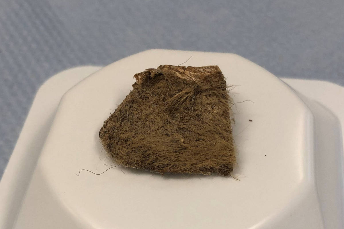 Pedaço pequeno de material fibroso marrom com textura áspera apoiado sobre superfície branca octogonal. Fundo azul claro desfocado.