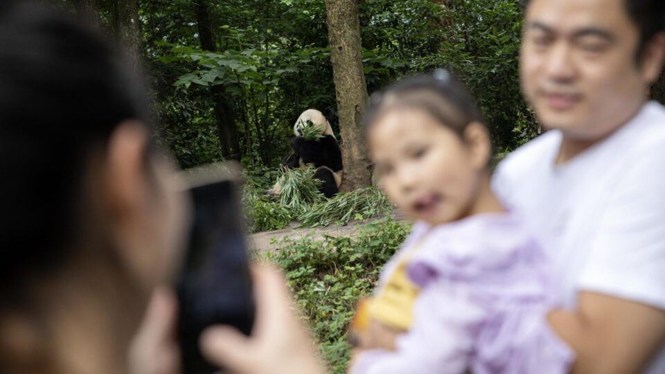 Chineses pagarão mais caro por contraceptivos a partir de 2026