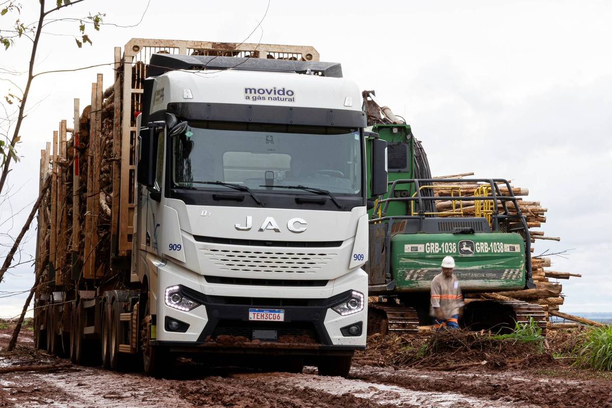 Caminhão branco da marca JAC carregado com toras de madeira estacionado em terreno de reflorestamento. Ao lado, máquina verde de colheita florestal com operador usando capacete e colete refletivo. Céu nublado ao fundo.