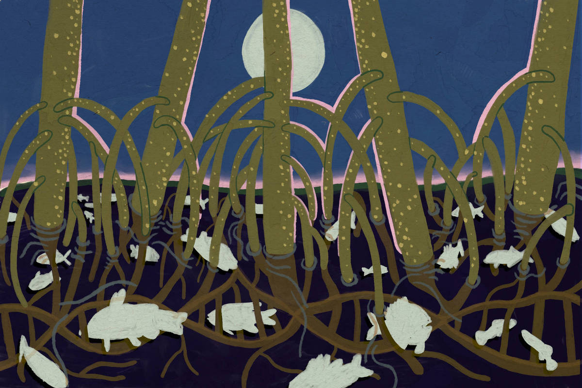 Raízes marrons de árvores se estendem em várias direções sobre solo escuro sob céu noturno azul com lua cheia visível ao fundo. Peixes brancos estão espalhados entre as raízes no solo.