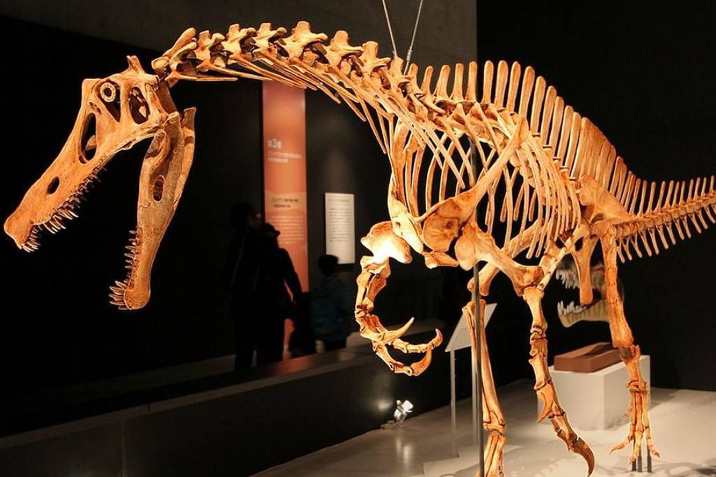 Esqueleto completo do dinossauro