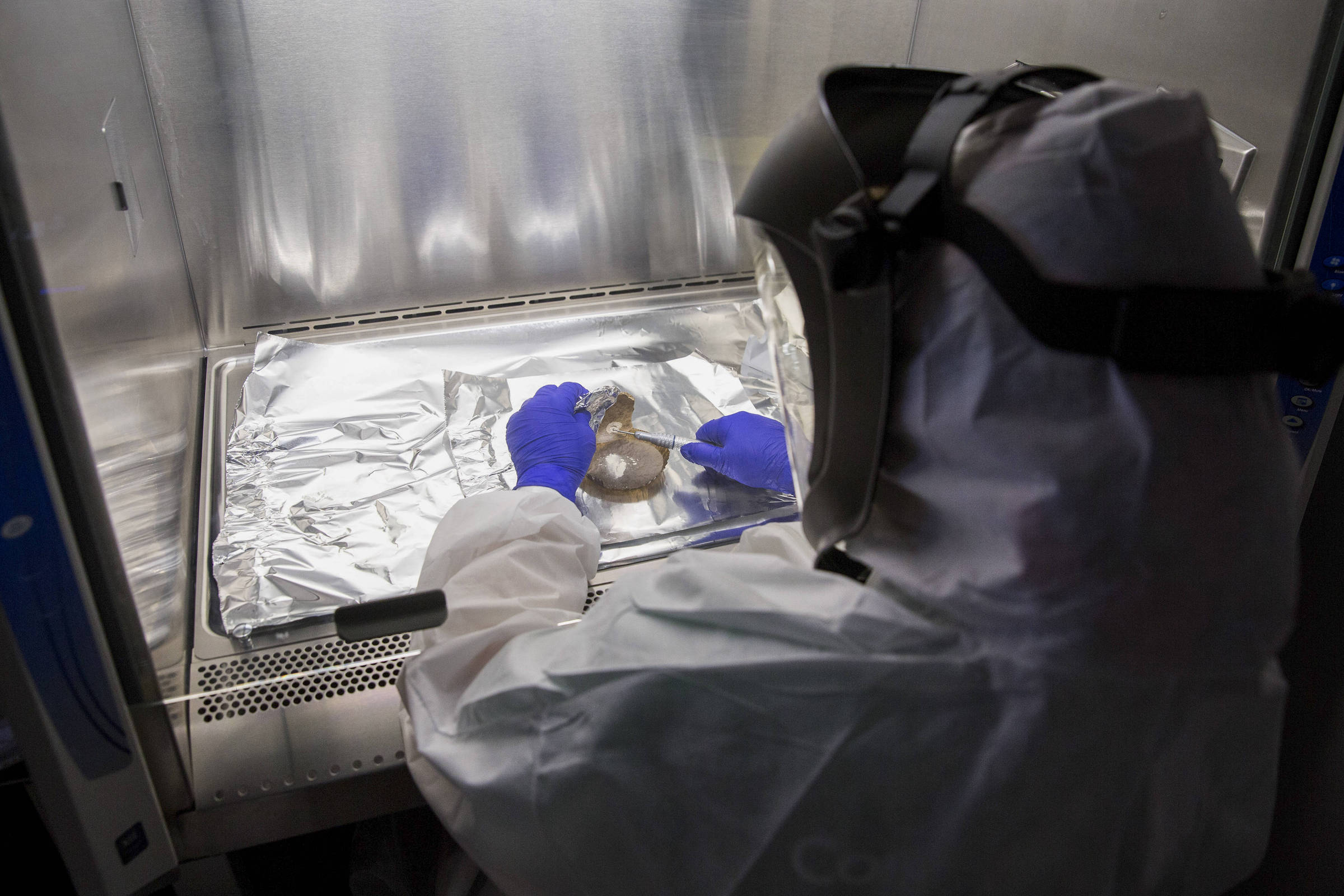 Pessoa vestindo traje de proteção completo e luvas azuis manipula amostra sobre papel alumínio dentro de cabine de segurança biológica com iluminação interna.