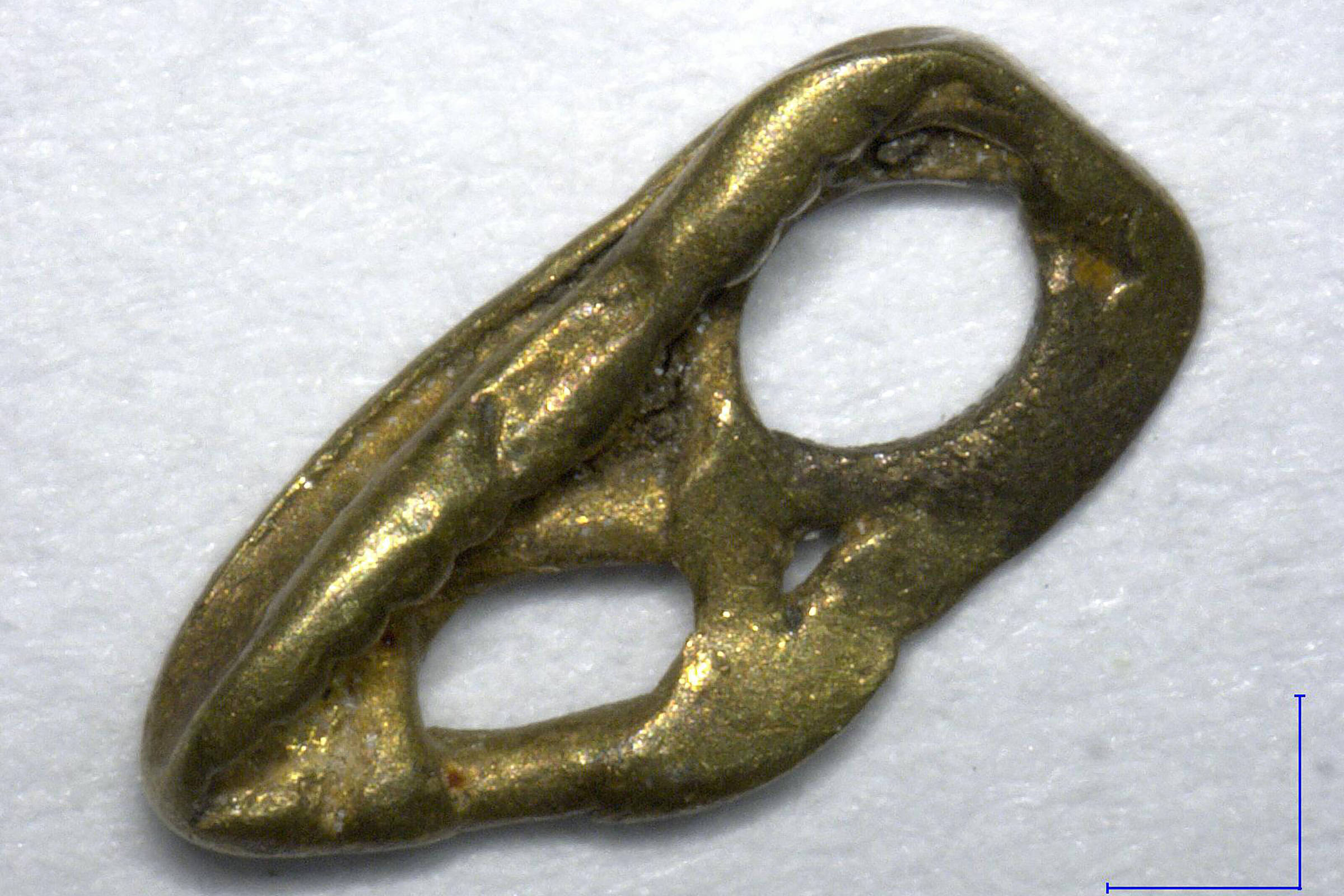 Fragmento metálico dourado com formato irregular e dois orifícios ovais, sobre fundo branco. Escala indica 1 milímetro para referência de tamanho.