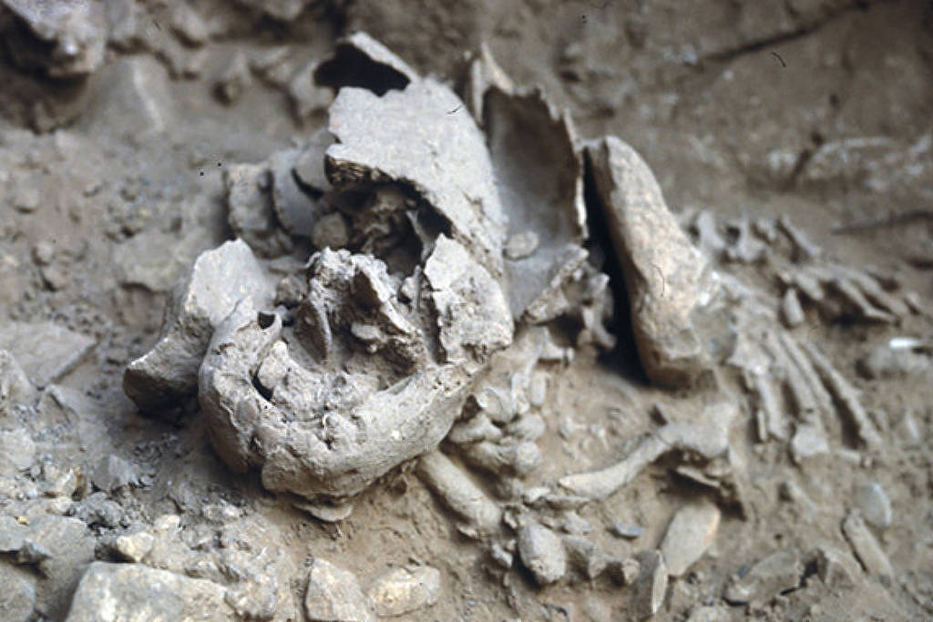 foto do fóssil Amud 7 em seu local original, mostrando ossos parcialmente expostos em sedimento.