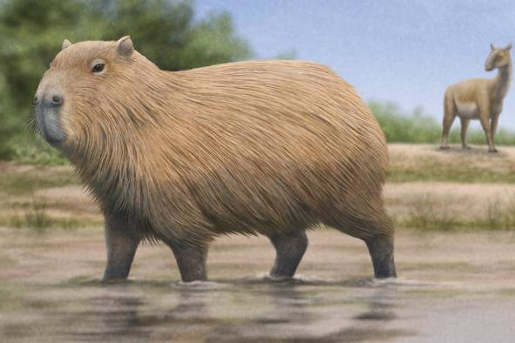 Capivara grande com pelagem marrom clara está em água rasa, com vegetação verde e céu azul ao fundo. Um cervo marrom está parado em terra firme ao longe.