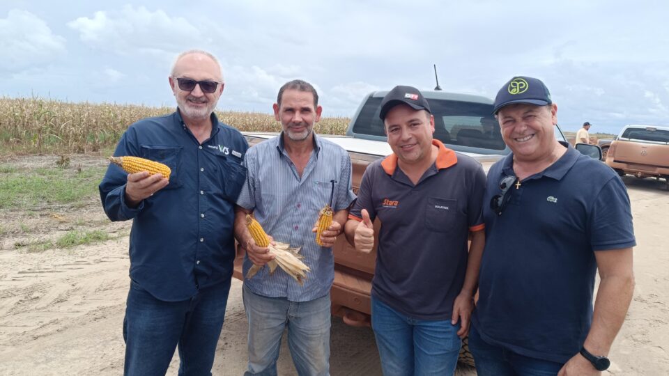 Guiana oferece terras de graça para produtores brasileiros