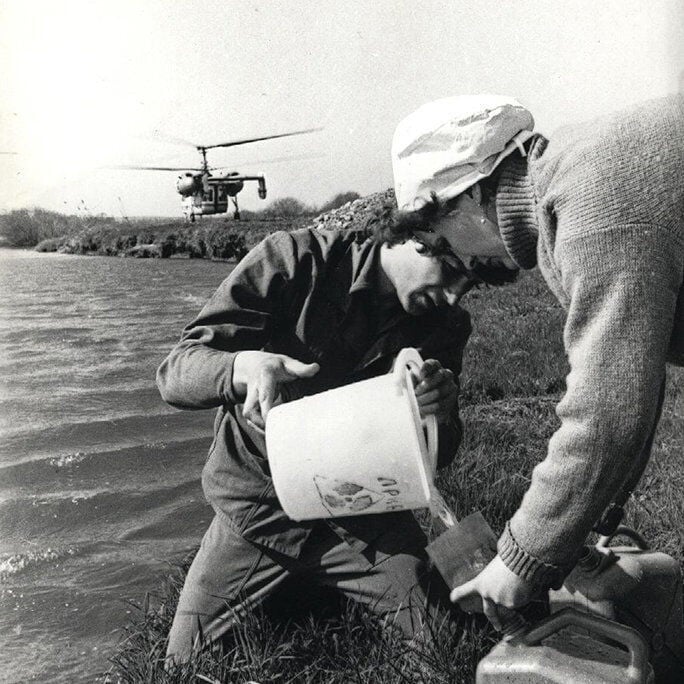 Os cientistas ainda estão aprendendo com o desastre nuclear de Chernobyl