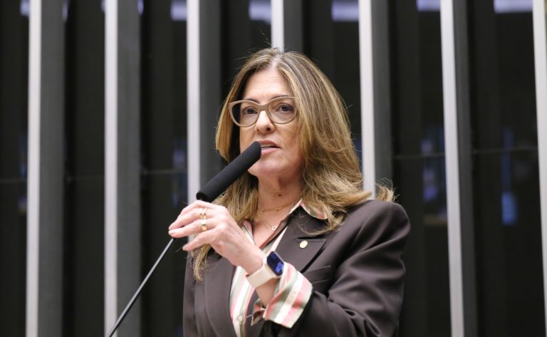 Discussão e votação de propostas legislativas. Dep. Rogéria Santos (REPUBLICANOS - BA)