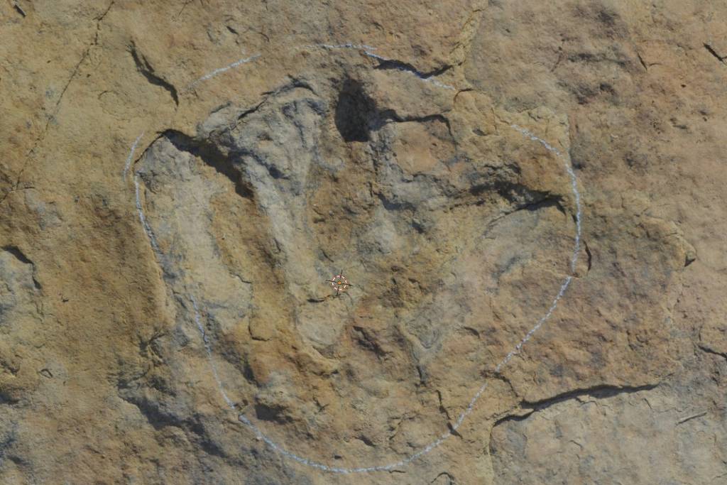 Pegada fossilizada de dinossauro marcada por contorno branco em rocha sedimentar marrom. Detalhes da impressão mostram três dedos distintos.
