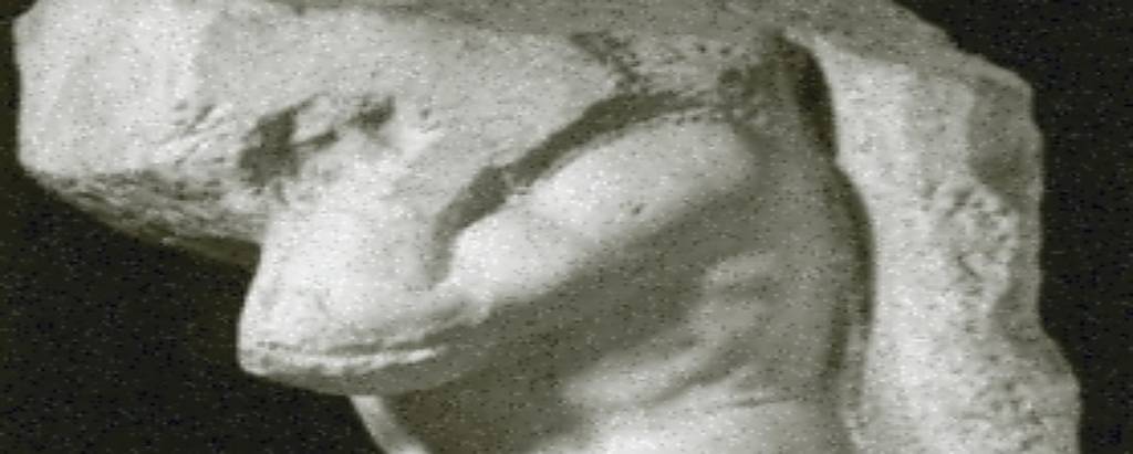 'Escravos', as estátuas que Michelangelo descobriu - 26/05/2026 - Marcelo Viana
