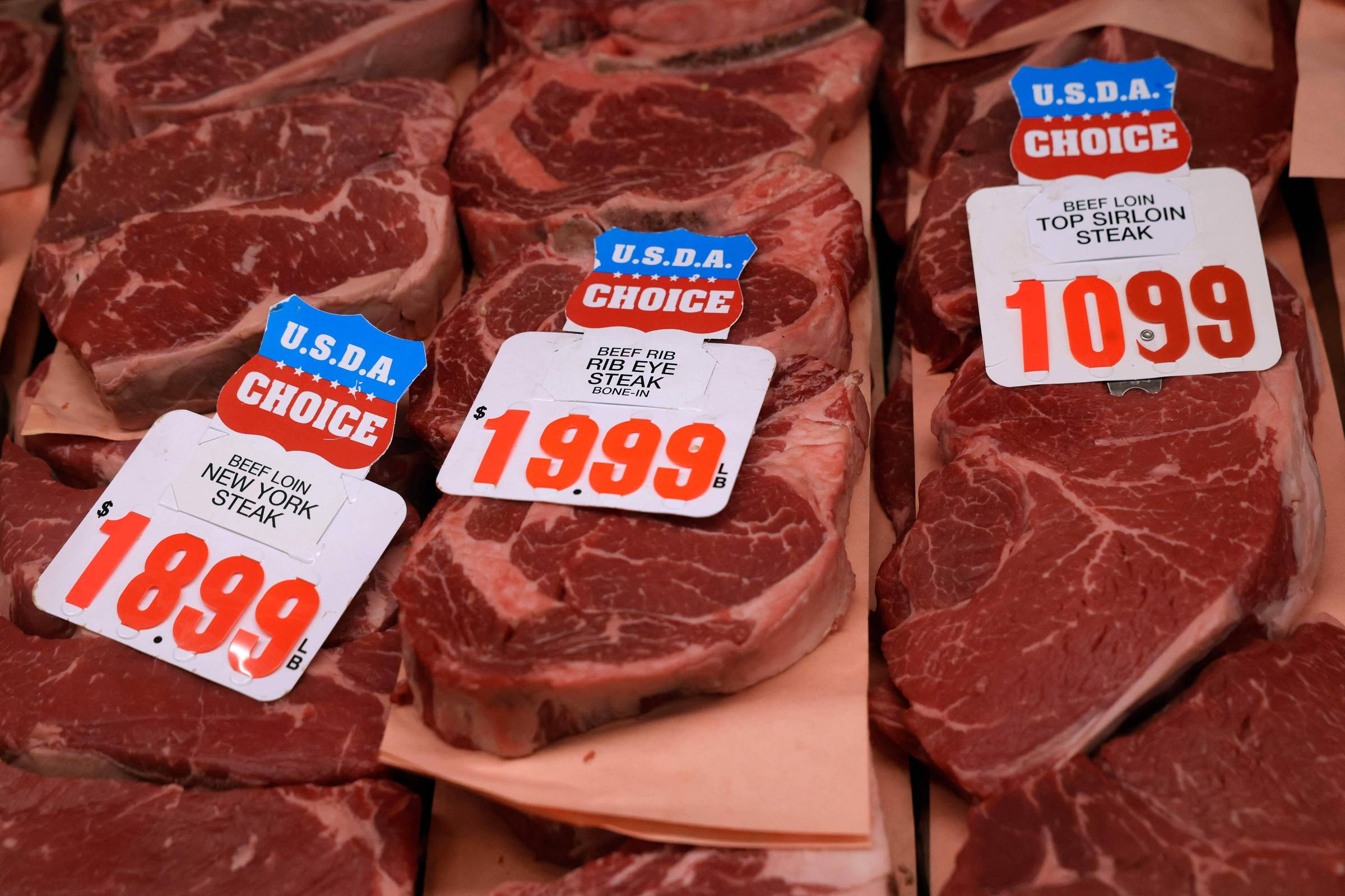 Três cortes de carne bovina exibidos lado a lado em bandejas, cada um com etiqueta branca e azul indicando classificação U.S.D.A. Choice e preço por libra em vermelho: New York Steak a 18,99 dólares, Rib Eye Steak a 19,99 e Top Sirloin Steak a 10,99.