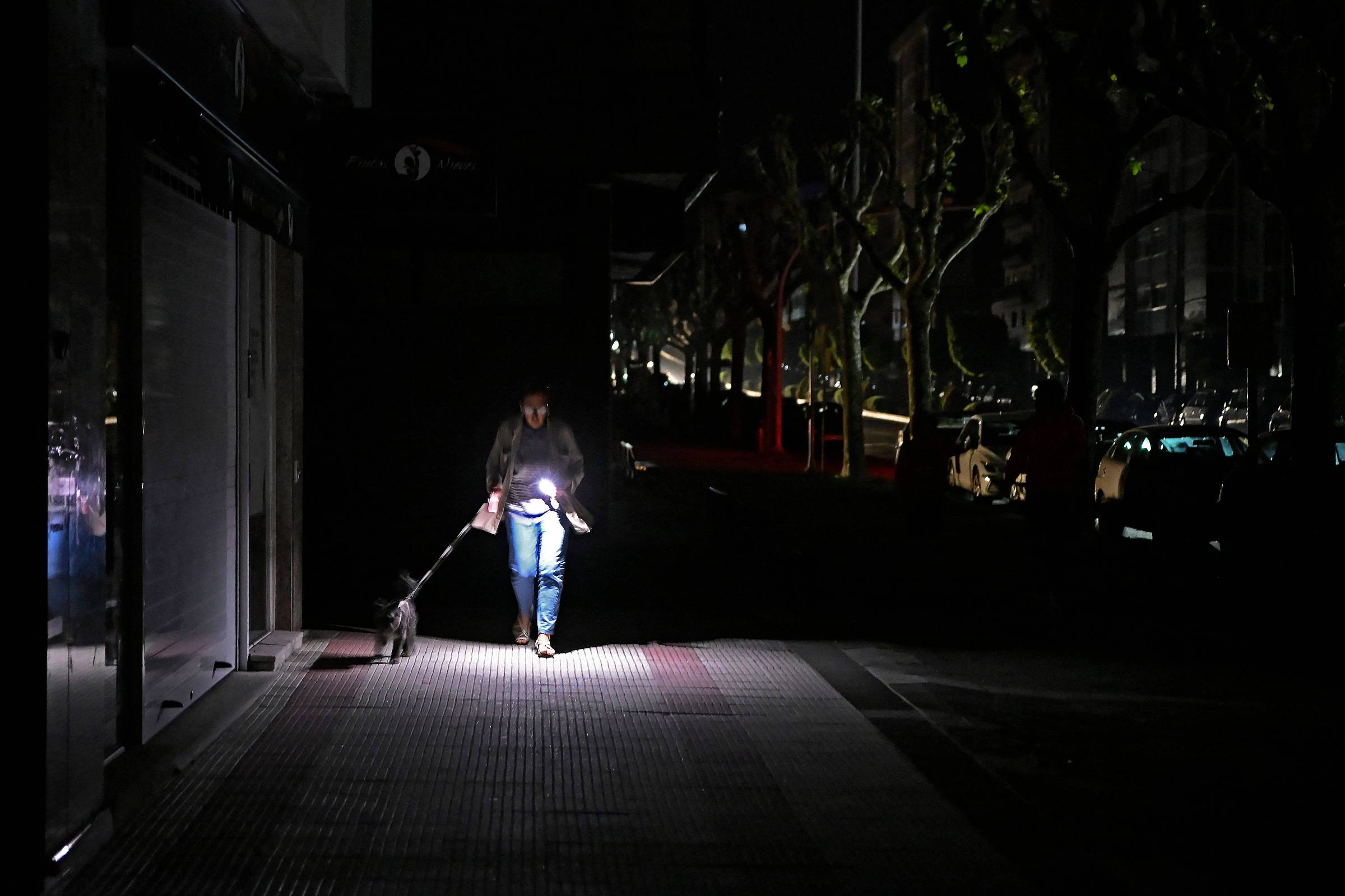 Uma pessoa está caminhando à noite em uma calçada iluminada por uma lanterna. A pessoa usa um casaco escuro e jeans, segurando a coleira de um cachorro que está ao seu lado. O ambiente ao redor é escuro, com algumas árvores visíveis e edifícios ao fundo, mas a iluminação da lanterna destaca a área onde estão.