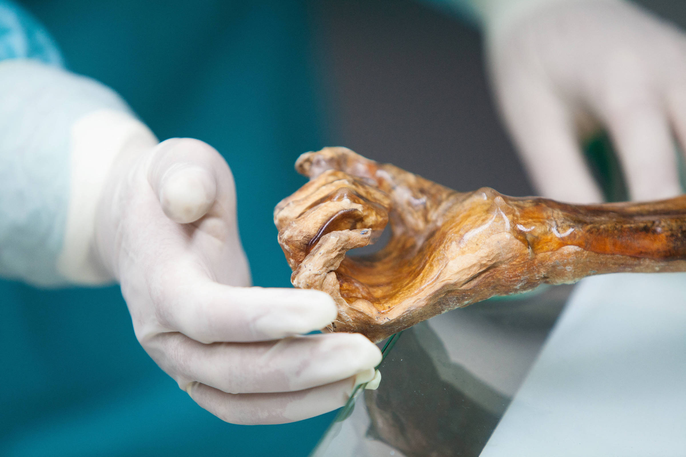 Mundo microbiano de Ötzi, o Homem do Gelo, é revelado - 03/06/2026 - Ciência