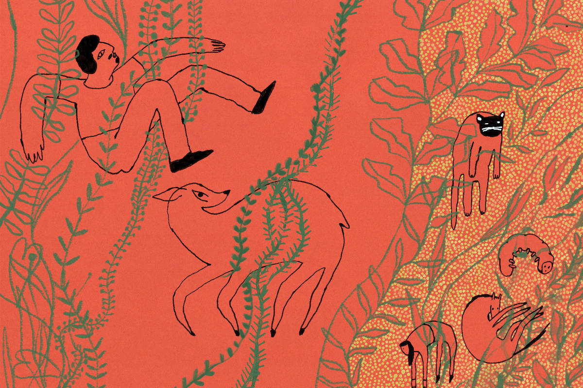 Ilustração mostra homem flutuando à esquerda, cervo ao centro e quatro animais menores à direita, todos sobre fundo laranja com plantas verdes e detalhes pontilhados.