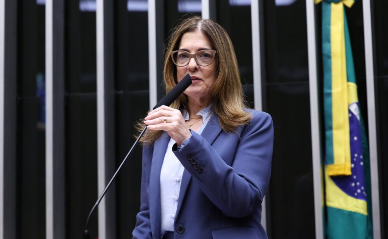 Deputada Rogéria Santos fala ao microfone