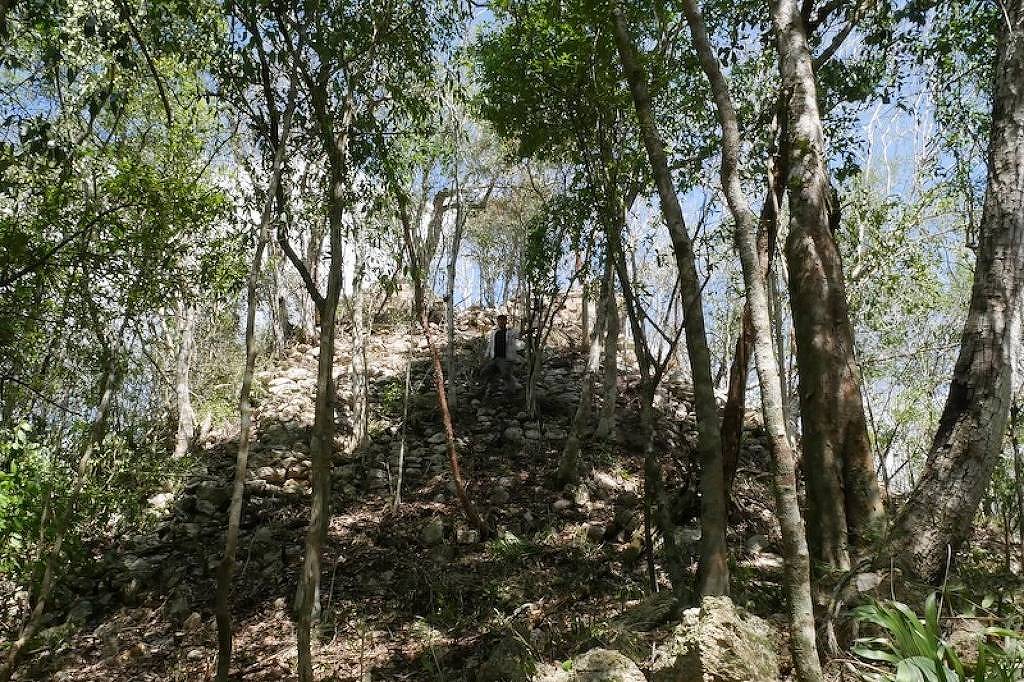 Arqueólogos encontram ruínas maias na península de Yucatán - 20/07/2026 - Ciência