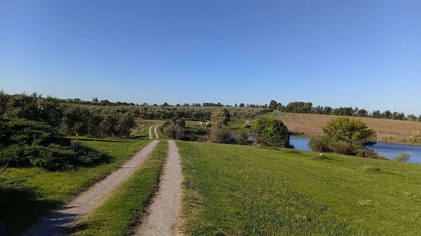 Paisagens rurais, como a do Viñedos y Olivares del Quintón, conquistam cada vez mais visirantes | Carmen Carlet/Especial/JC