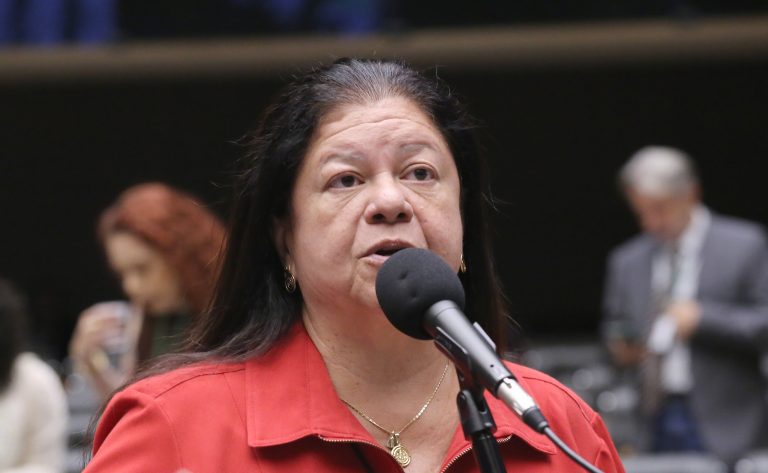 Deputada Laura Carneiro (PSD-RJ) fala no Plenário da Câmara dos Deputados