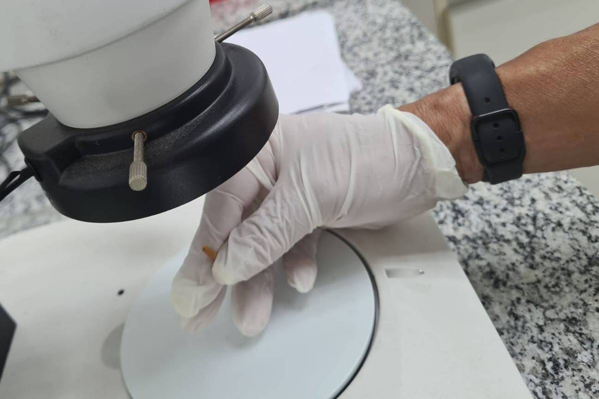 Mão com luva branca ajusta foco de microscópio branco sobre bancada de granito. Ambiente de laboratório com equipamentos ao fundo.