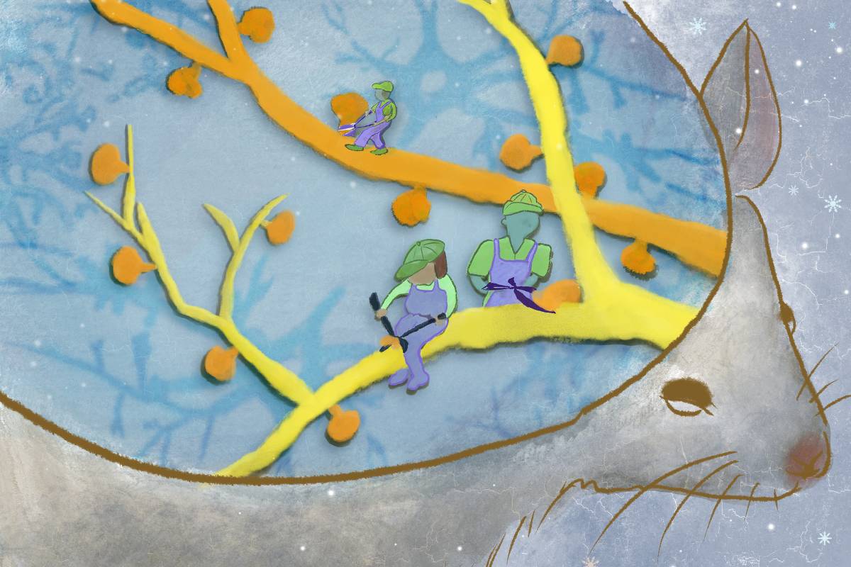 Cérebro de camundongo com cinza com galhos amarelos e laranja. Três figuras humanas pequenas em verde e roxo estão sentadas e em pé sobre os galhos. Fundo azul com pequenos pontos brancos que lembram estrelas.