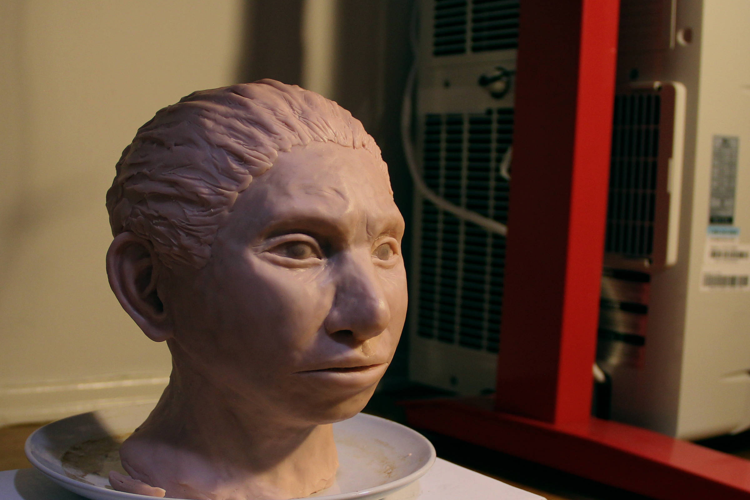 This image shows a portrait of a juvenile female Denisovan based on a skeletal profile reconstructed from ancient DNA methylation maps.