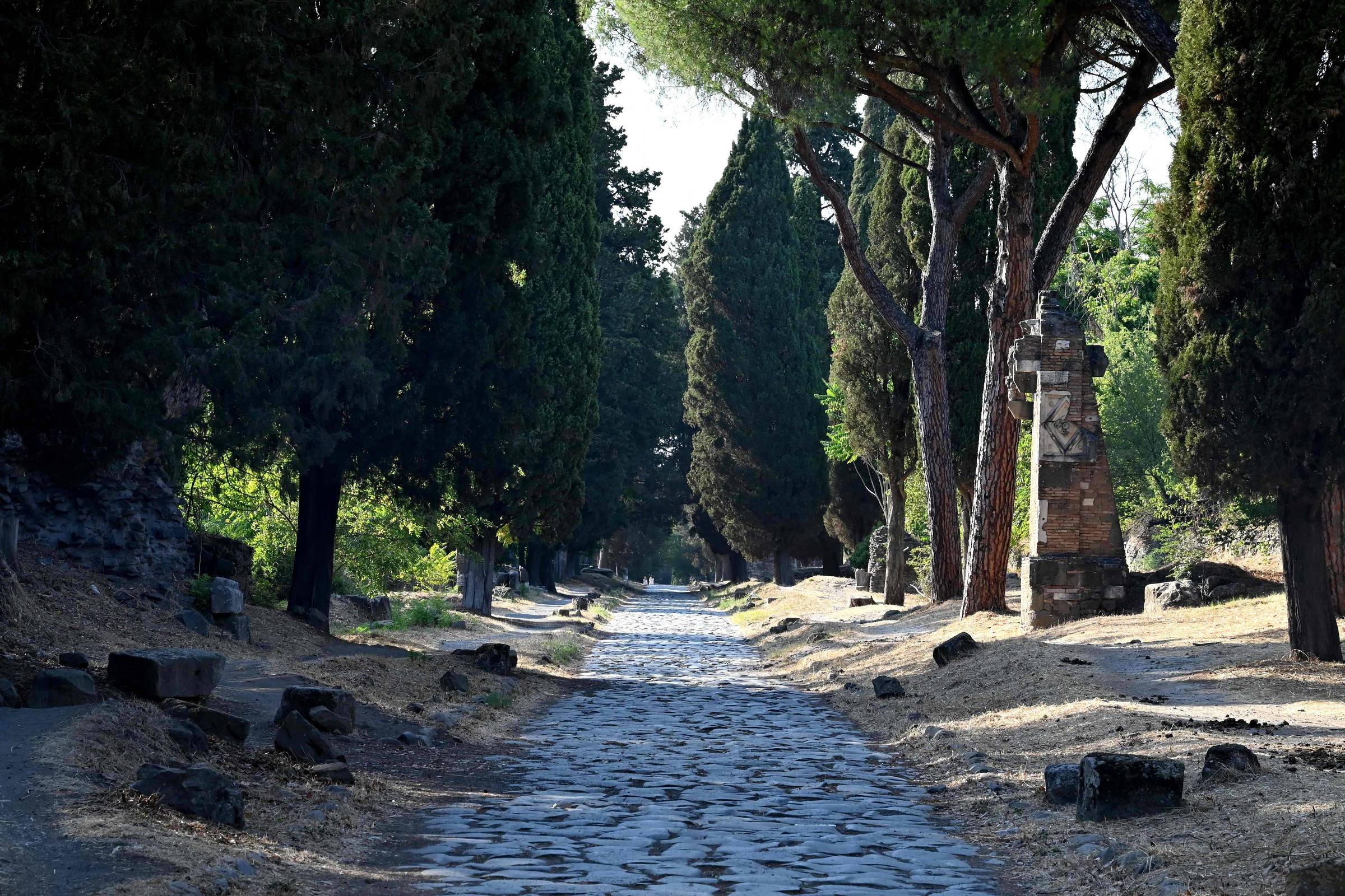 Caminho pavimentado com pedras irregulares segue em linha reta, ladeado por árvores altas e escuras dos dois lados. À direita, há uma estrutura de pedra que parece um monumento ou marco histórico. O solo ao redor é seco e arenoso, com algumas pedras espalhadas. A luz do sol ilumina parcialmente a cena, criando sombras das árvores sobre o caminho.