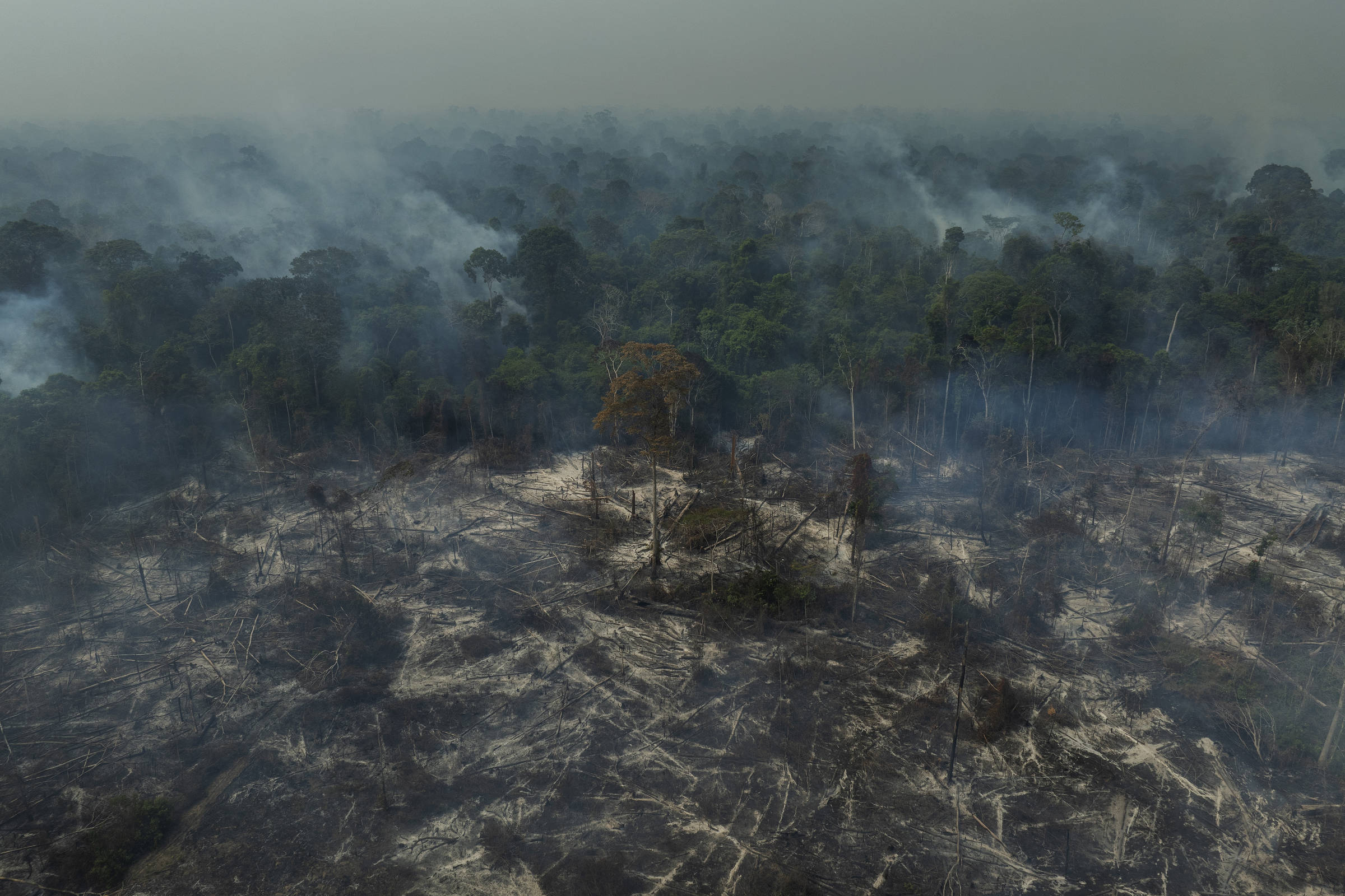Queimada em floresta na área do PAE ( Projeto de Assentamento Agroextrativista ) Terra Nova, no Pará, de 2020