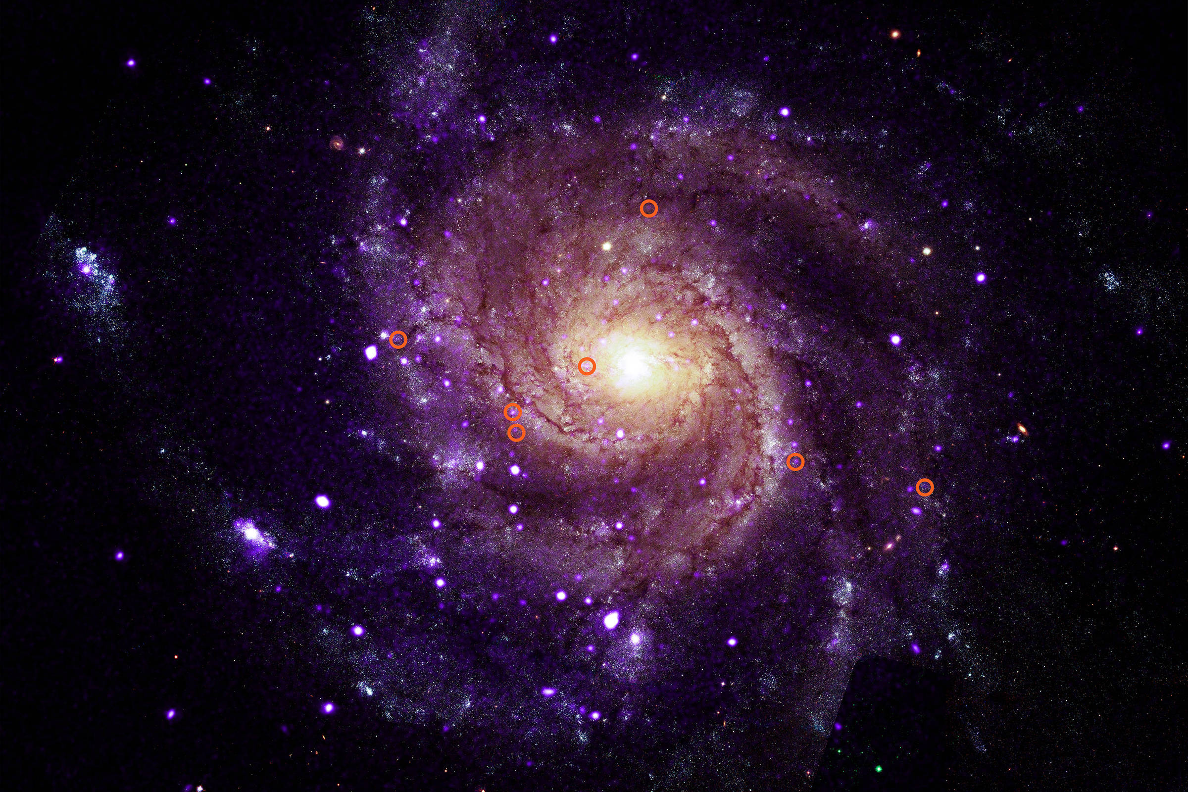 Galáxia espiral vista de frente com braços em espiral iluminados em tons de roxo e azul, núcleo central amarelo brilhante.