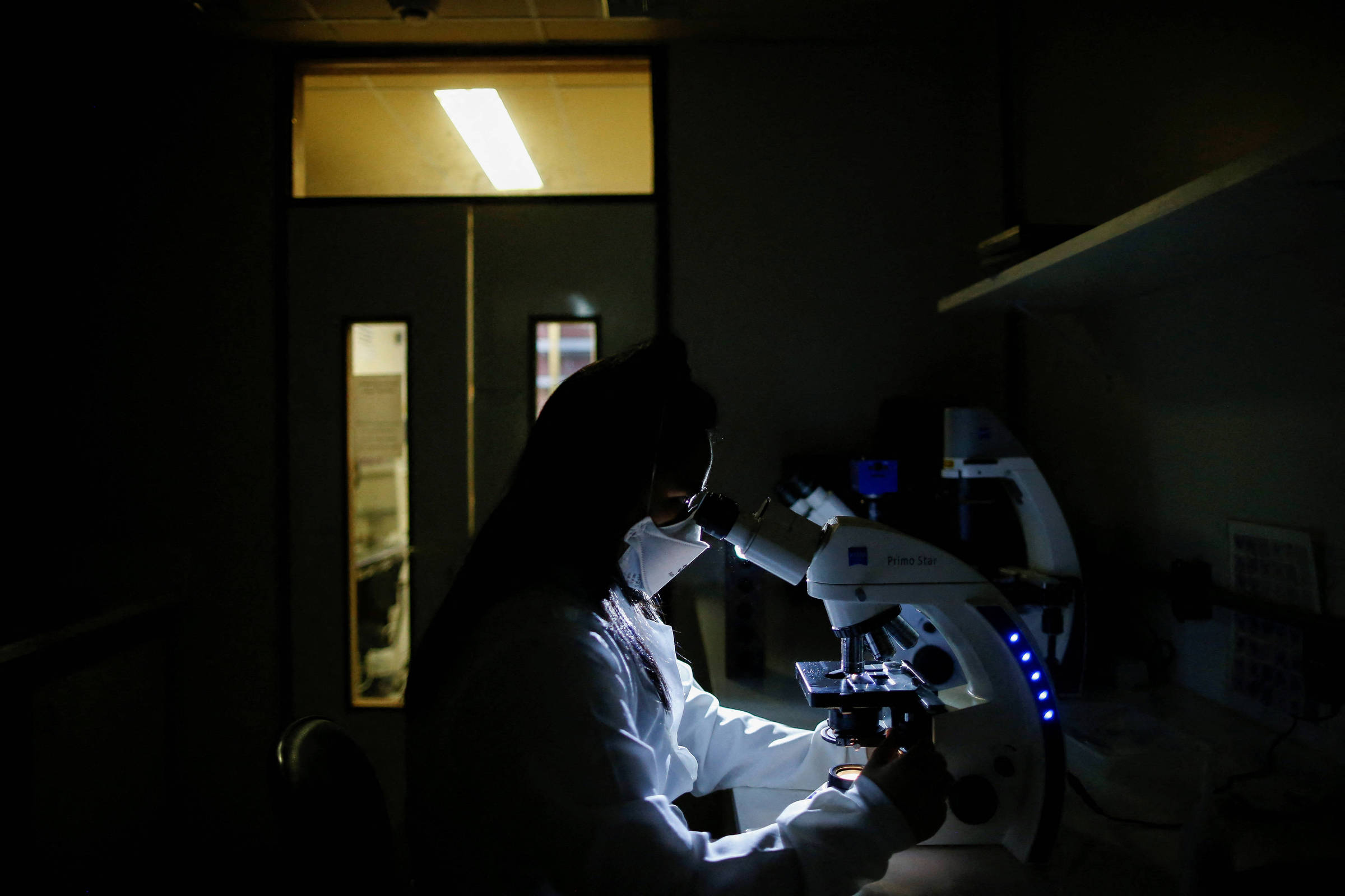 Capes: brasileiros podem publicar na Nature sem custos - 28/10/2026 - Ciência