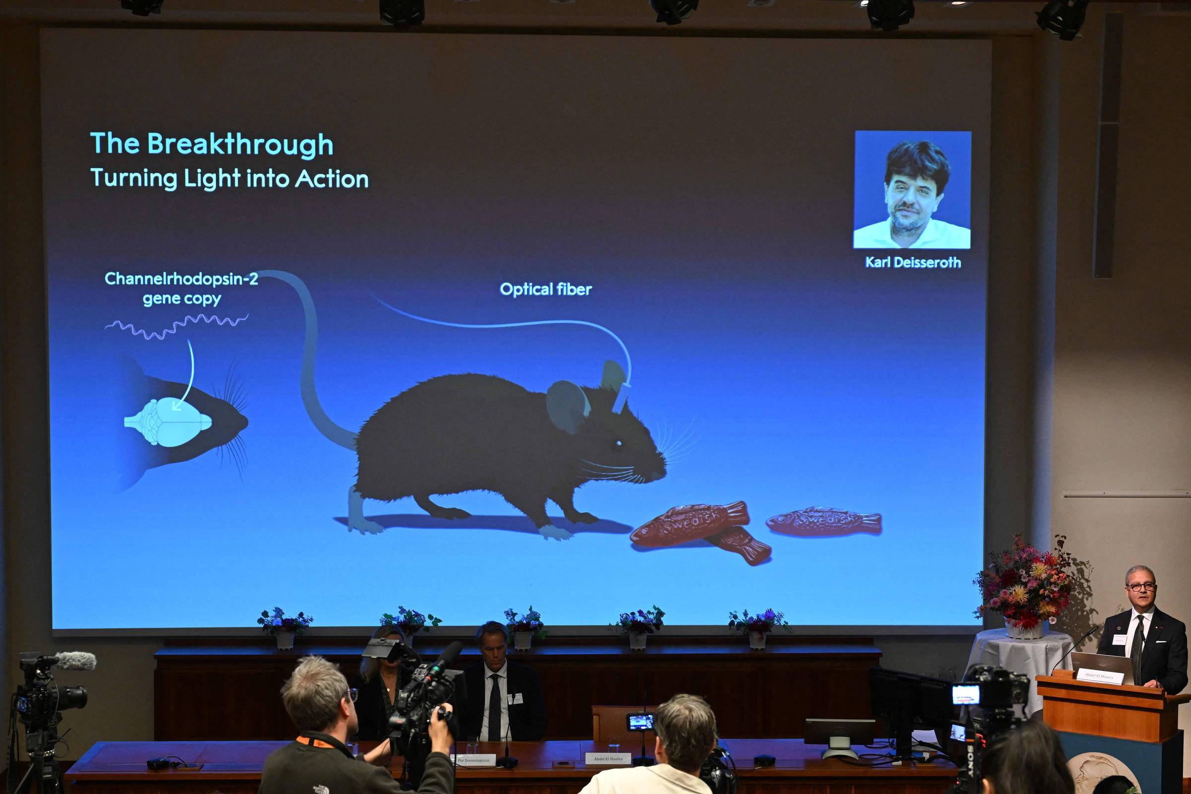 Auditório com palestrante à direita em púlpito, projetando slide azul com ilustração de rato conectado a fibra óptica e peixes, explicando